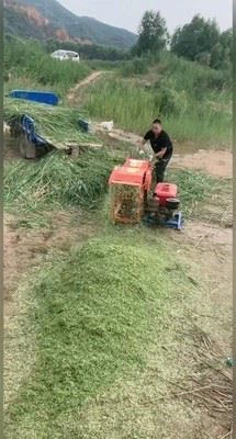 chaff cutter machine10