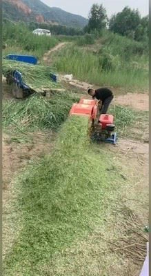 chaff cutter machine11